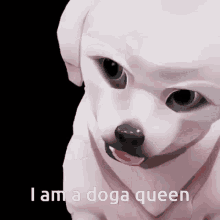 a picture of a dog with the words i am a doga queen