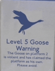 a level 5 goose warning sign with a picture of a goose