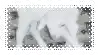 a black and white photo of a white puppy in a frame .