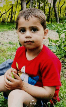 a young boy wearing a red shirt is sitting in the grass holding a green apple .