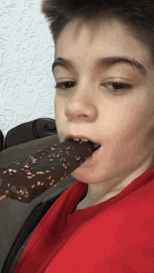 a young boy in a red shirt is eating a chocolate popsicle