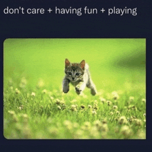 a picture of a kitten running in a field with the words " don 't care + having fun + playing " below it