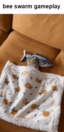 a kitten is sleeping on a couch with a fish toy on top of it ..