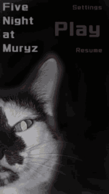 a poster for five night at muryz with a cat on it