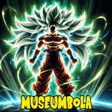 a poster with a dragon ball z character and the words museum bola