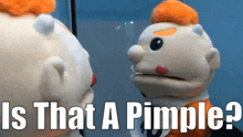 a puppet is looking at itself in the mirror with the words is that a pimple below it