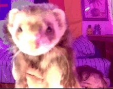 a stuffed animal is standing in front of a purple light