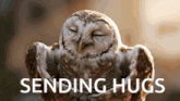 an owl with its eyes closed and the words " sending hugs " below it