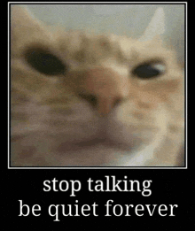 a picture of a cat with the words `` stop talking be quiet forever '' written below it .