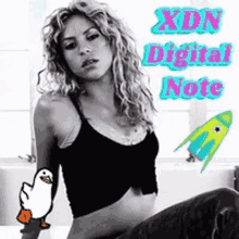 Xdn Ducknote Meme