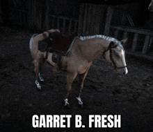 a horse with a saddle and bridle is named garret b. fresh