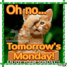 a kitten is covering its face with its paw and the words `` oh no tomorrow 's monday ! enjoy your sunday ''