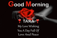 a good morning tara message with two hands holding a rose