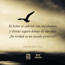 a picture of a bird flying in the sky with a bible verse in spanish .