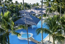 an aerial view of a large swimming pool surrounded by palm trees