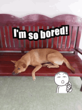 a dog is laying on a bench with the words i 'm so bored