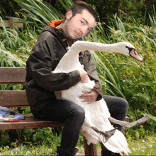 a man sitting on a bench holding a swan