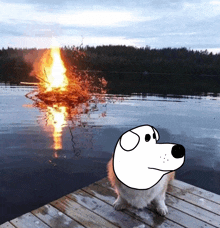 a dog sitting on a dock looking at a fire