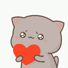 a cat is holding a red heart in its paws .