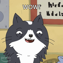a cartoon cat says wow in front of a sign that says birds made