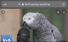 a screen shot of a bird saying anything with a microphone in its beak