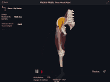 a computer screen shows a skeleton and muscles in motion