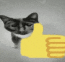 a black and white cat is giving a thumbs up sign in a black and white photo .