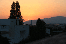 a sunset over a city with a white building in the foreground and a tree in the foreground