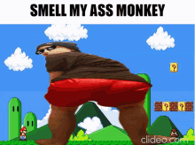 a picture of a monkey with the words " smell my ass monkey " above it