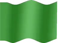 a green sheet of paper with a white background
