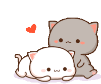 two cartoon cats are laying next to each other with a red heart in the background