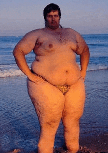 a very fat man is standing on the beach in a bikini .