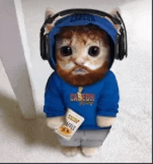 a stuffed cat with a beard and headphones is wearing a blue hoodie .