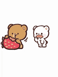 a teddy bear is eating a strawberry and a white teddy bear is eating a strawberry .