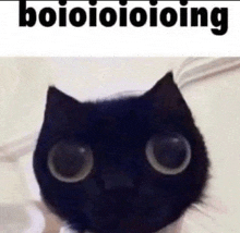 a black cat with big eyes and the words boioioioioing above it .