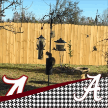 a picture of a bird feeder with a squirrel and the letter a on it