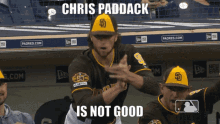 a baseball player named chris paddock is wearing a padres uniform