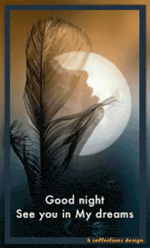 a picture of a feather with the words good night see you in my dreams below it