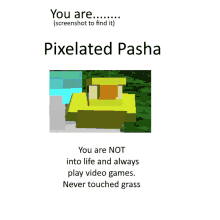 a screenshot of a pixelated pasha says you are not into life and always play video games never touched grass