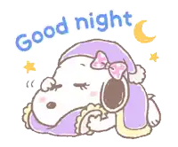 a cartoon of snoopy sleeping with the words good night written above him