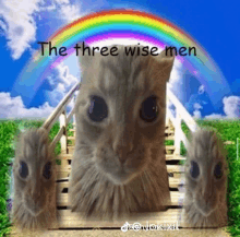 a picture of three cats with a rainbow in the background and the words " the three wise men "