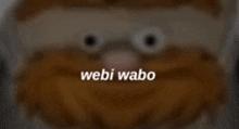 a blurred image of a stuffed animal with the words webi wabo written on the bottom