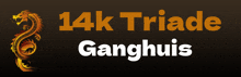 a 14k triade ganghuis logo with a dragon