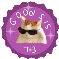 a cat wearing sunglasses with the words good sis t-3 below it