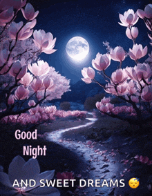 a good night and sweet dreams poster with a full moon and pink flowers