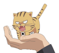 a hand is holding a cat with a very angry look on its face