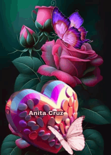 a picture of a heart surrounded by pink roses with a butterfly and the name anita cruz