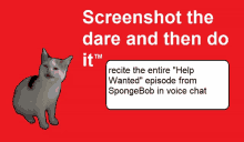 a screenshot the dare and then do it advertisement with a cat