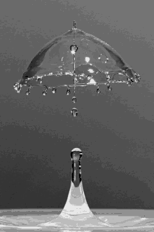 a drop of water is shaped like an umbrella and is falling from the top