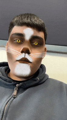 a young man with a cat face painted on his face